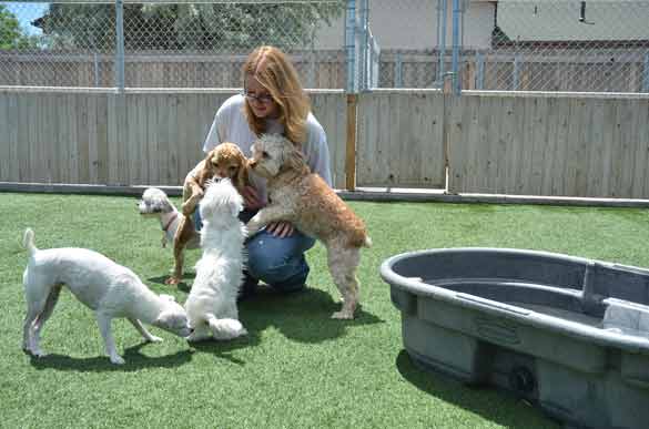 Outdoor Picture of the B&B for D.O.G. — Doggie Day Care & Boarding near DIA (Denver International Airport)